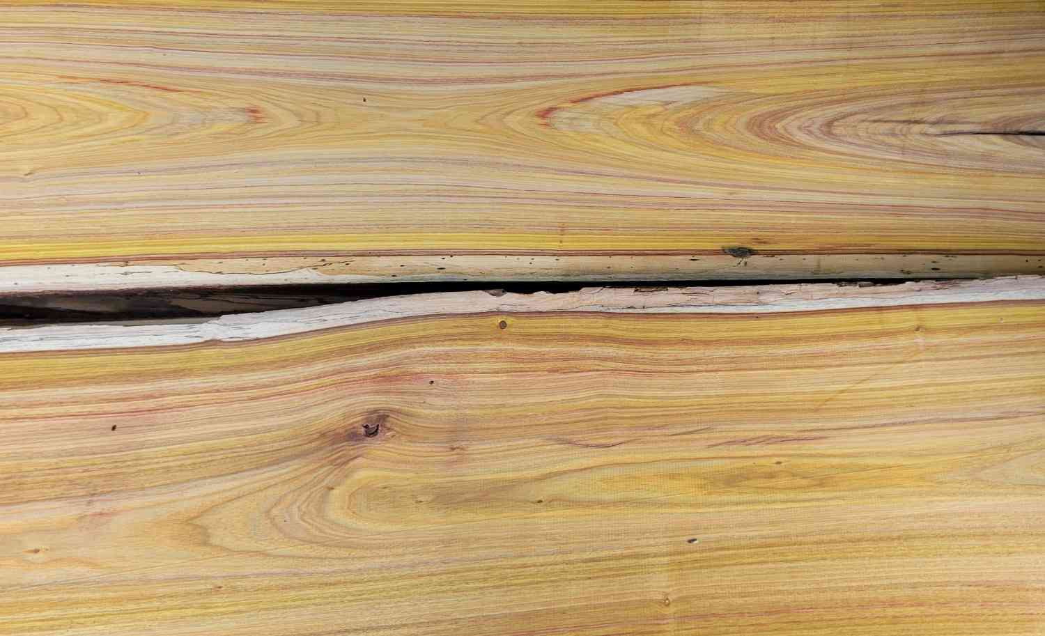 canarywood-img